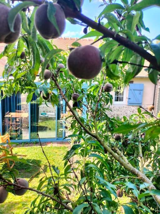 Charmante Maisonnette En Pierre Écardenville-sur-Eure Exteriér fotografie